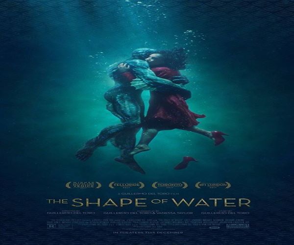 THE SHAPE OF WATER